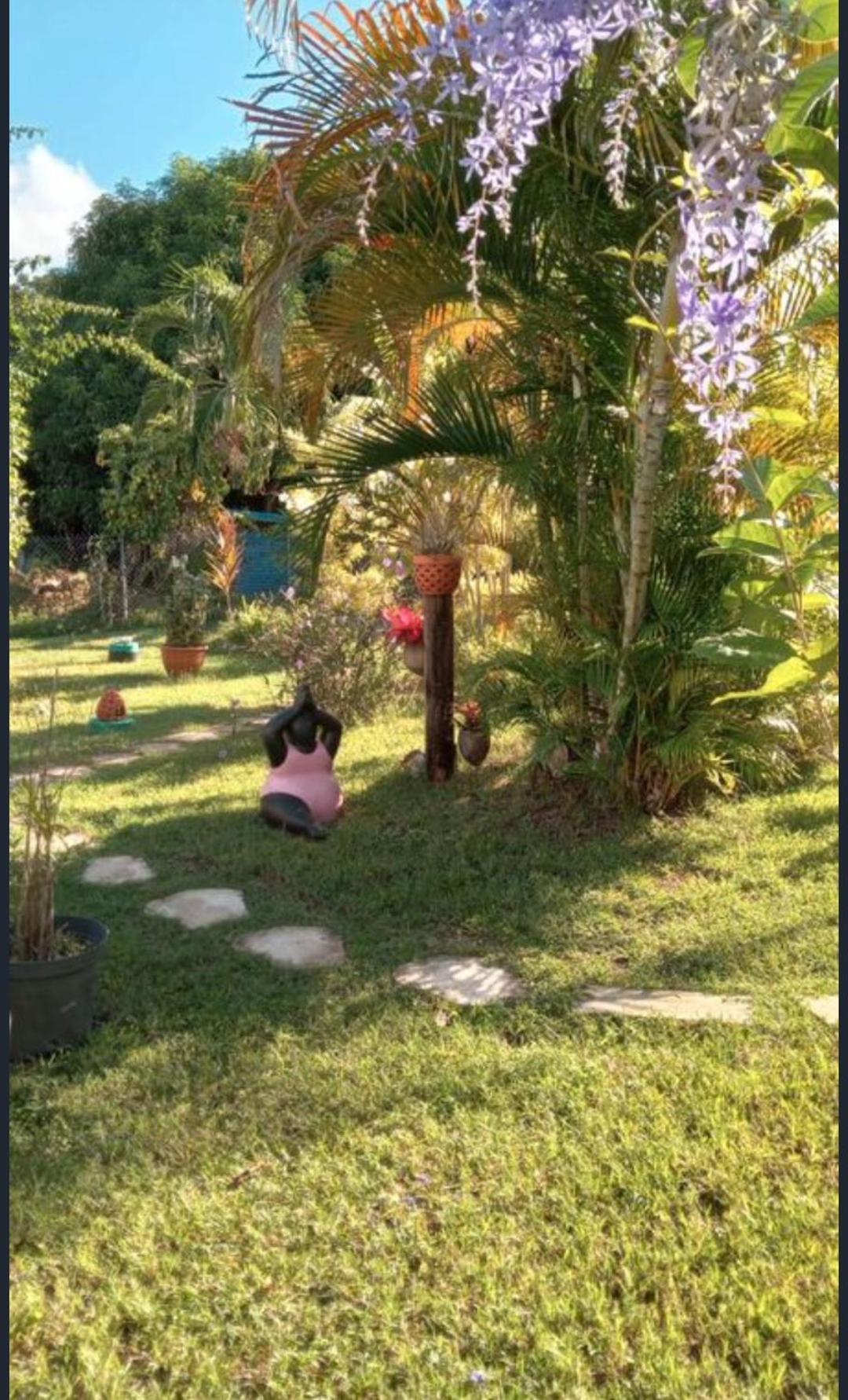 Gite Cajou Dans Jardin Tropical Ventile A Sainte-Anne Экстерьер фото