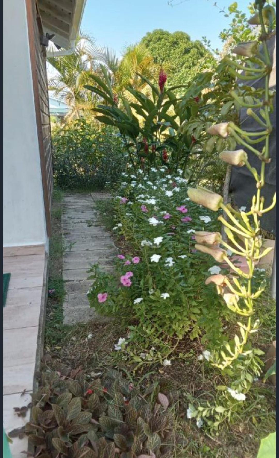Gite Cajou Dans Jardin Tropical Ventile A Sainte-Anne Экстерьер фото
